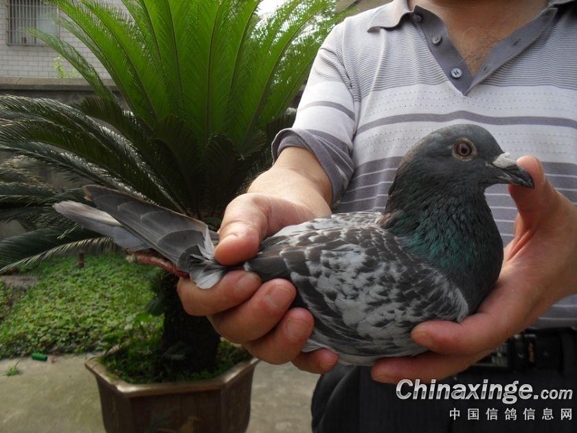 ���վ�����Э700����ǰ��������(ͼ)