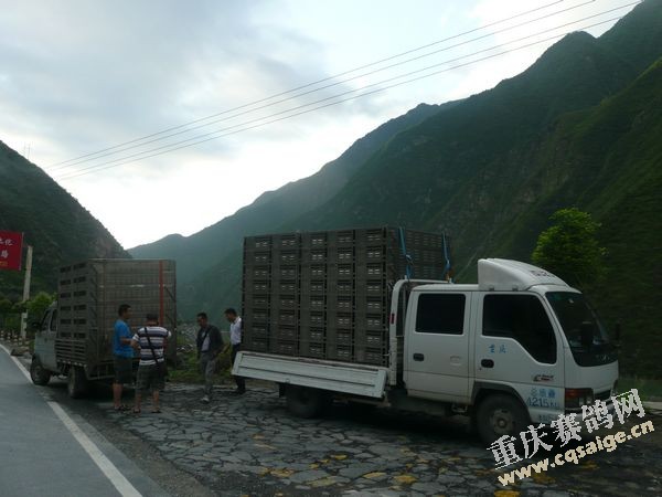 ���콭�����ļ��رȻ����շŷ�(ͼ)