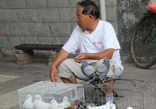 ���¹���� �䵭͸����(ͼ)