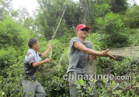 ���������������´���Ƿ�����(ͼ)