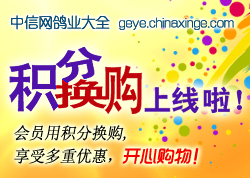 ���������ֻ�����������