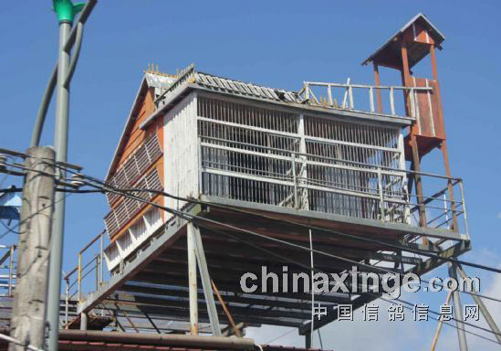 Զ����ι�̨�����(ͼ)