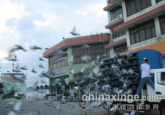 ΰ�ľ��ֲ��Ĺ�����������(ͼ)