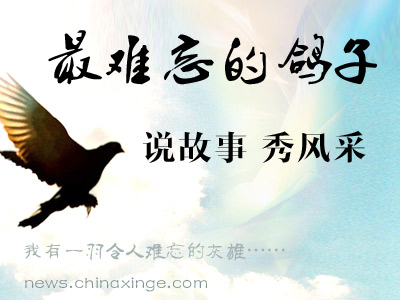 �н����룺˵˵���������ĸ���