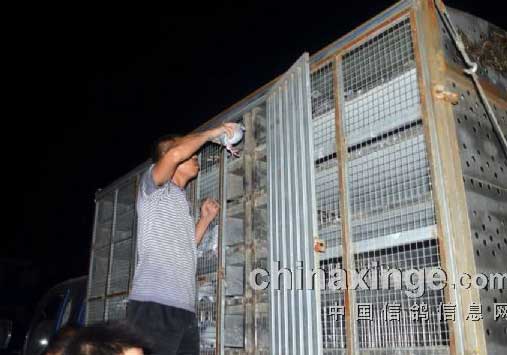 ��ԭ������һѵ(ͼ)