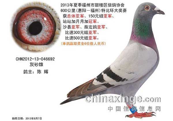 �ƽ���Դ��Ѽ����ø��������ֵܸ���(ͼ)