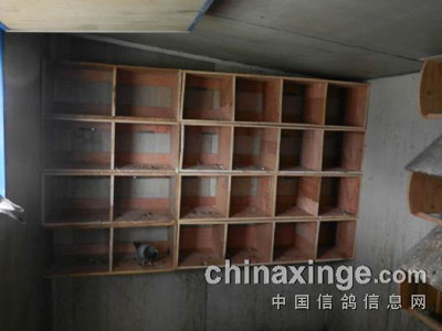 自己动手做巢箱(图)