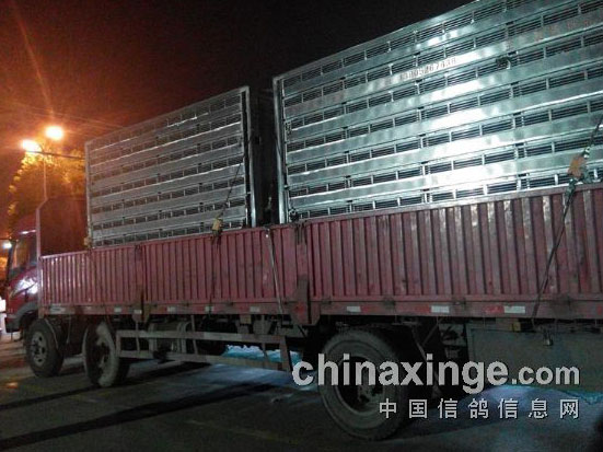 �Ϻ������������׹ؿ�ս Ԥ�Ƽ����ǧ(ͼ)