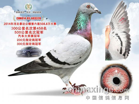 �ӱ�̩�﹫�����6176��ǰʮ������(ͼ)