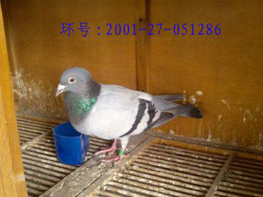 14�������䣺��������ߴ���(ͼ)