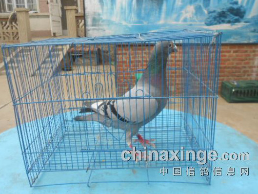 �Ƹ�Э2014�������Ĺظ�����ѡ��(ͼ)