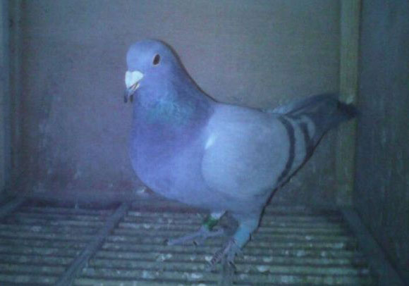 ���α������ġ������ھ���(ͼ)