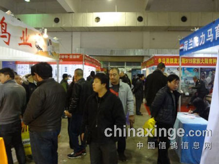 �ֳ�ֱ�����ڶ���֣�ݸ�չ��Ļ����