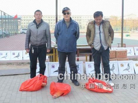 �����������᣺���Ϊ̨ ��������(ͼ)