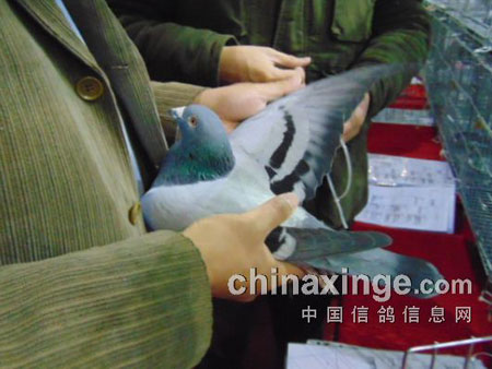 �ȷ���չ���ۿ�����35������(ͼ)