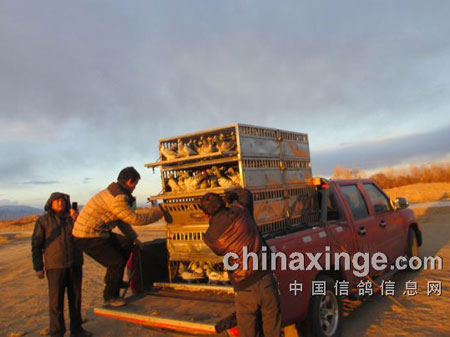 ��ս��ԭ��ѩ��ѩ��Ӣǰʮ��(��)