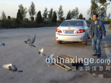 ��ǰ��ι���á�ҩ ����������(ͼ)