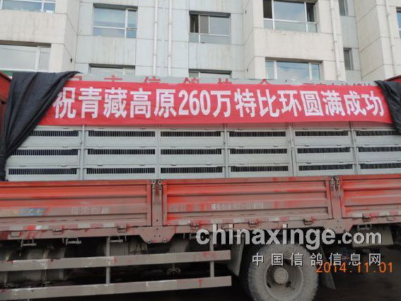 ����رȵ����ع鳲���¸� һ��ǰʮ����(ͼ)