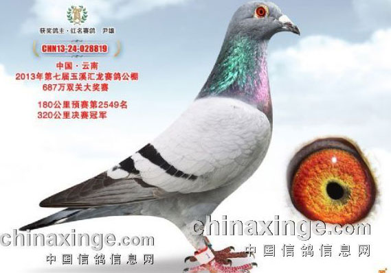 ����롰��Ϯ�����ṫ������ھ�(ͼ)