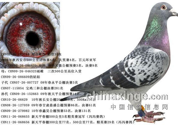 ������������ë������(ͼ)