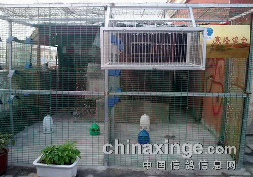 ����Ĳ������ˣ������������ǿ(ͼ)