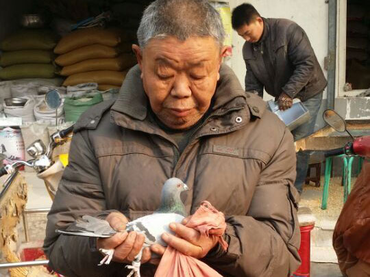 82���ϸ��ѣ�һ��δ�� �����Ŀ��