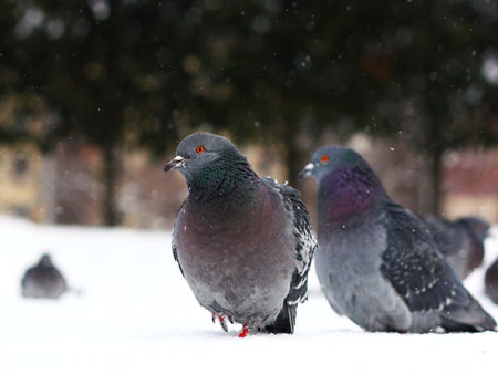 �Ÿ�Ķ�������������Խ��