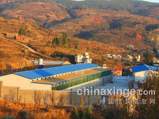 ����Ψһ�������ʵ�ؿ��쿭��(ͼ)