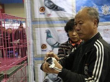 ���֡���ı������