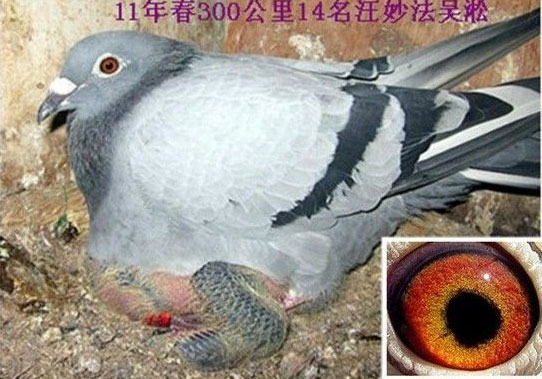 �ҵ�����14��(ͼ)