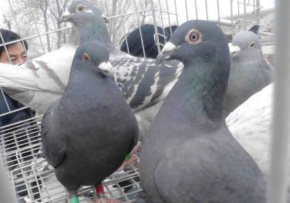 ���϶���������Ӱ(ͼ)