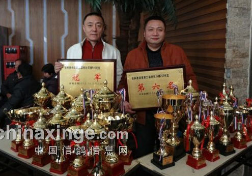 �����ٷú����������(ͼ)