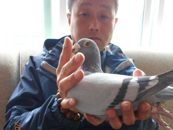 Ѫͳ+�������ھ����ȫ����(ͼ)