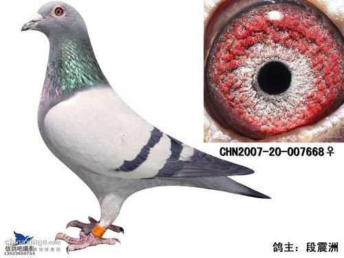 ���֮�䣺����ʧ�ø�(ͼ)