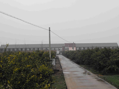 �Ϻ��¹����̽ ���߶�Զ��(ͼ)