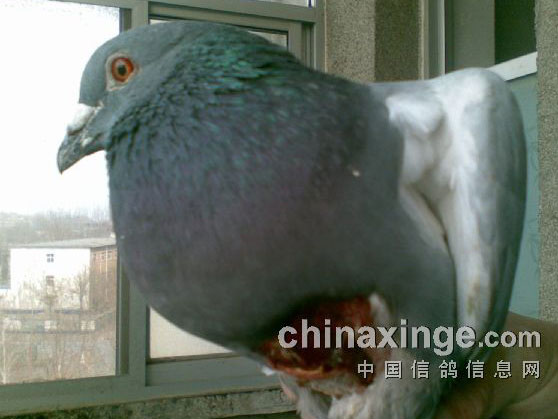 ���ʹ��ɱ�֣������˵������(ͼ)