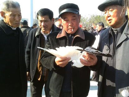 ���ݸ����Ա�����ڽ�ɽ�ǹ���(ͼ)