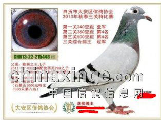 �Ĵ��١������ھ��������Ѿٱ�(ͼ)