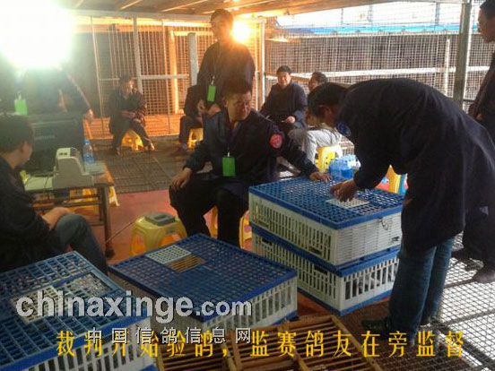 ��Ħ��������Ԥ����������ʵ(ͼ)