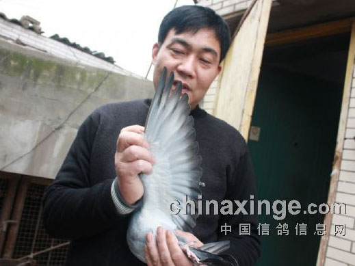 ����������������ϴ�ǿ��������(ͼ)