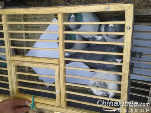 �������ɨ����� ǰ����©ɨ(ͼ)