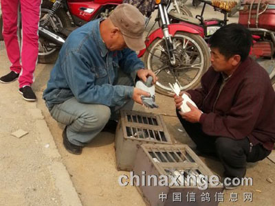 ���ȵ���ɽ��ұ���г�(ͼ)