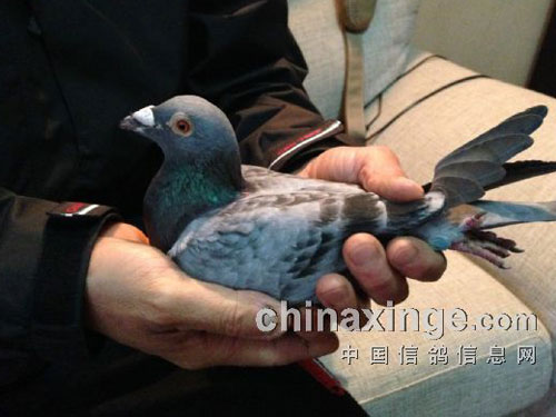 ��ս���죺���Ϻ���ɽ350����ھ�(ͼ)