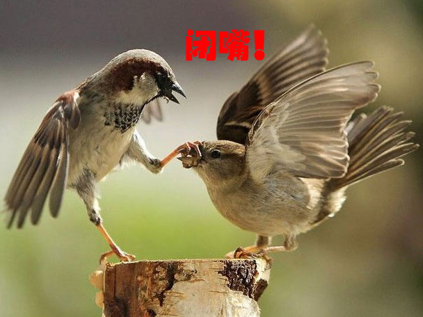 ���󡪡����������