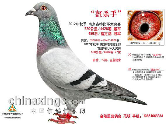 ��Զ��������Ȼ�Ǳ�(ͼ)