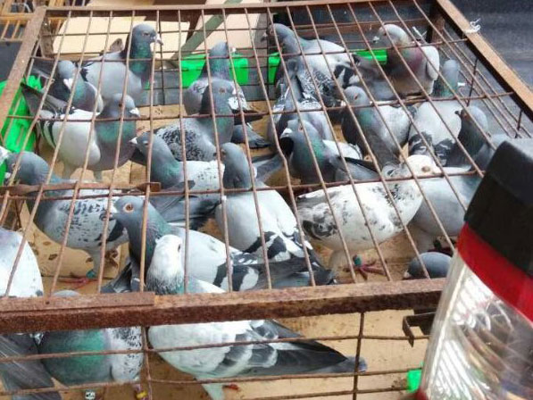 С���85����սǧ����(ͼ)