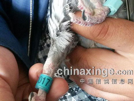 500�����̫�� �����Сʱ����(ͼ)