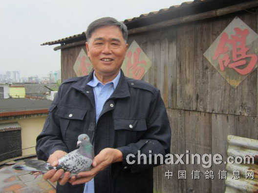 �����������������ս�6��ð���(ͼ)