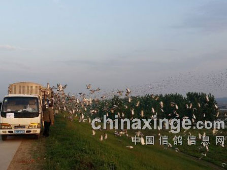 �������人����7566����˲��(ͼ)