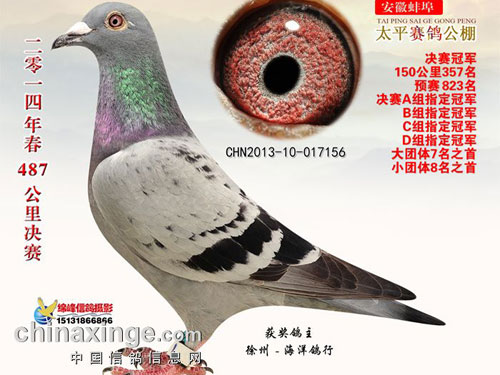 ����ھ�����2Сʱ����(ͼ)